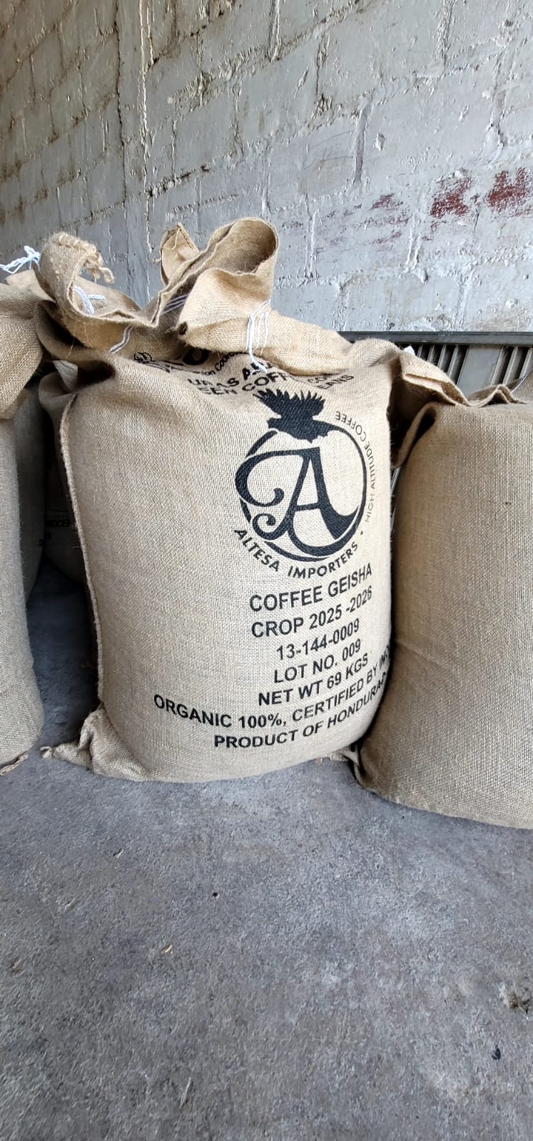 Wholesale - Geisha Green Bean - 152 Lbs.