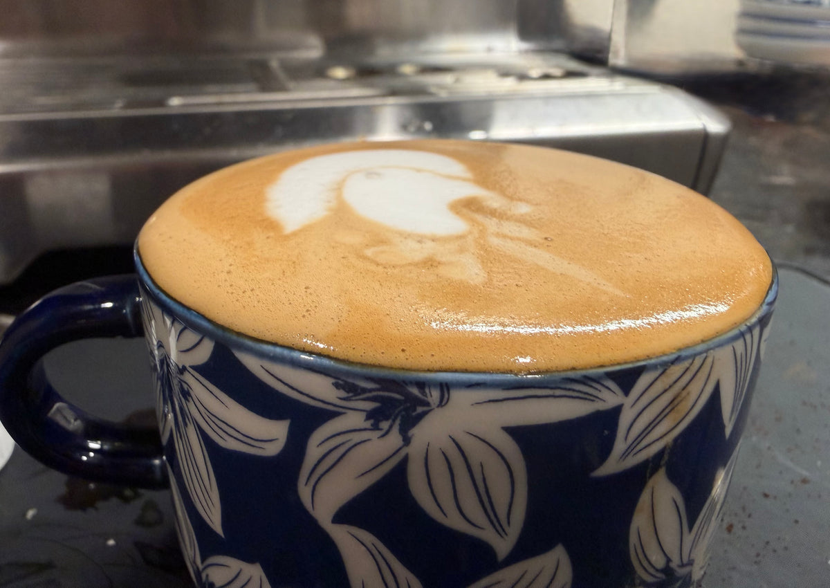 Rebel Geisha - Premium Honduras Geisha Blend